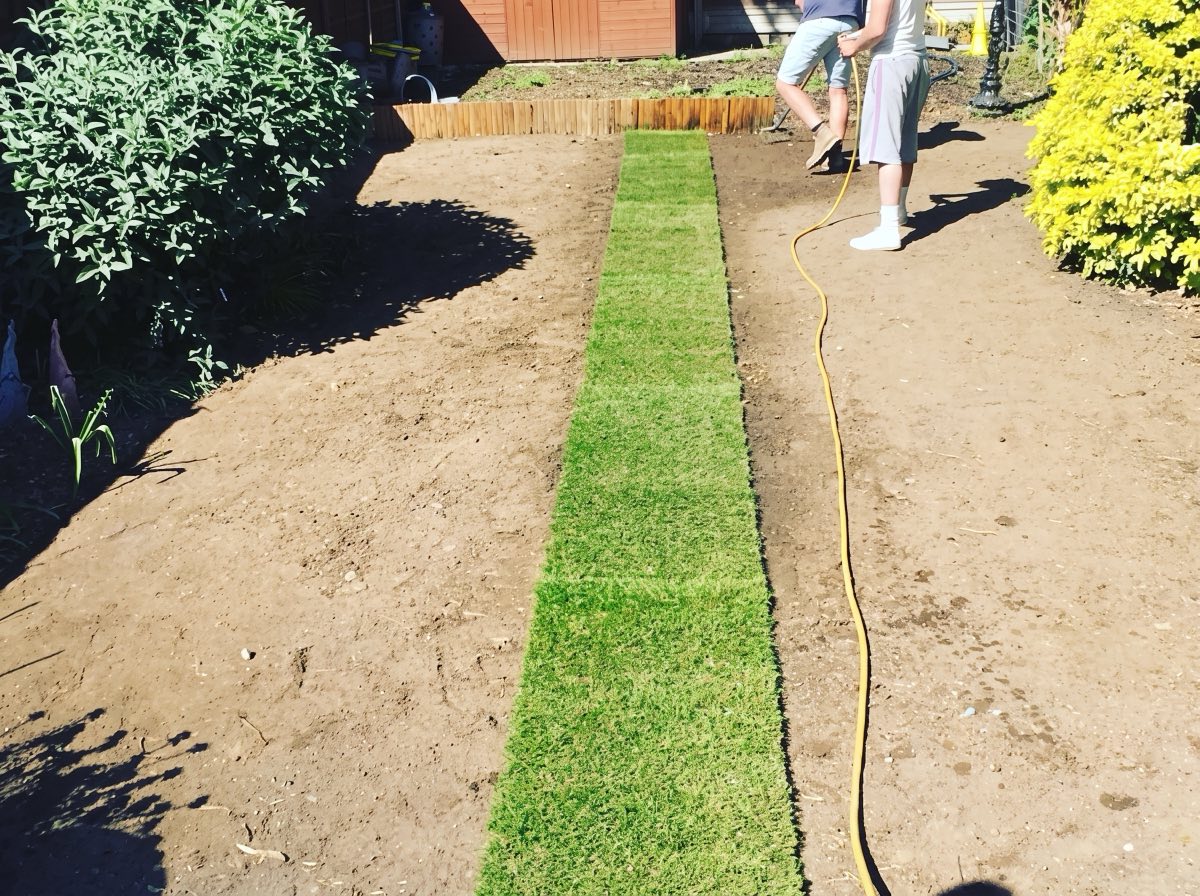 Bare prepared soil with the first strip of turf being laid