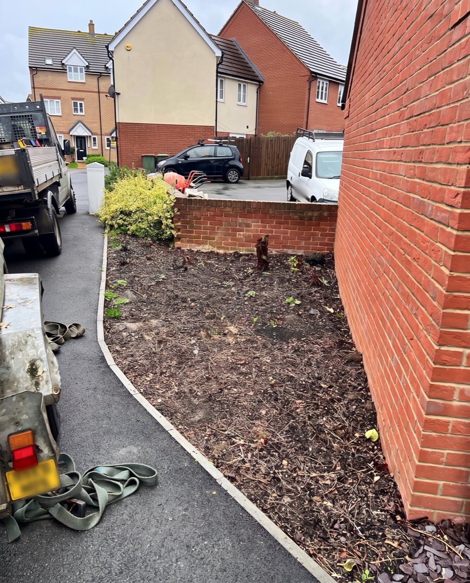 Before: an overgrown planted bed
